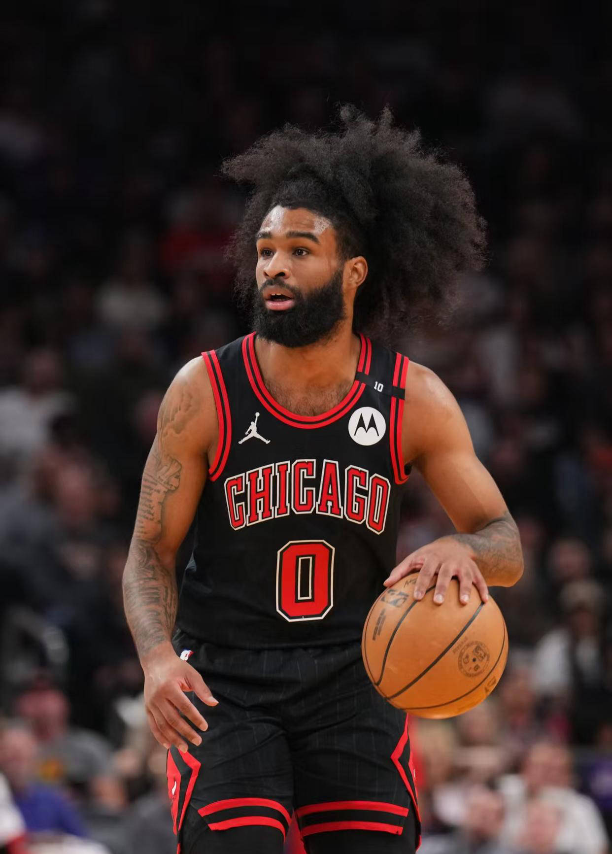 公牛新秀表现惊艳，全场观众掌声不断，项目城市无法社区帖子.